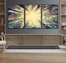 Tree and Sunshine Canvas Print