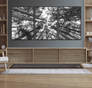 Trees Contemporary Art Canvas Print by MyGreatCanvas | Canvas Wall Art Prints | Photo Prints & Wall Decor