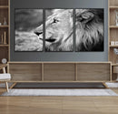 Lion Wall Art Canvas Print – Framed Majestic Wildlife by MyGreatCanvas | Canvas Wall Art Prints | Photo Prints & Wall Decor
