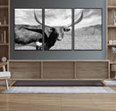 Longhorn Wall Art Canvas Print, Framed Ranch Wall Art Canvas by MyGreatCanvas | Canvas Wall Art Prints | Photo Prints & Wall Decor