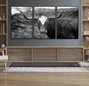 Western Home Wall Art Canvas Print, Framed Texas Longhorn by MyGreatCanvas | Canvas Wall Art Prints | Photo Prints & Wall Decor
