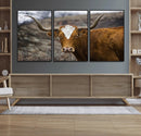 Framed Big Cow Animal Wall Art Canvas Print by MyGreatCanvas | Canvas Wall Art Prints | Photo Prints & Wall Decor