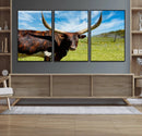 Longhorn and Cow Wall Art, Country Cow Wall Decor Canvas by MyGreatCanvas | Canvas Wall Art Prints | Photo Prints & Wall Decor