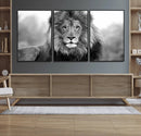 Black and White Lion Canvas Wall Art – Animal Print Artwork
