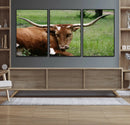 Longhorn Steer Canvas Wall Art – Rustic Nature Triptych