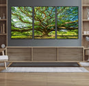 Majestic Oak Tree Wall Art – Serene Nature Canvas Print with