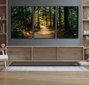 Sunlit Forest Pathway Canvas Print | 3 Panel Large Nature by MyGreatCanvas | Canvas Wall Art Prints | Photo Prints & Wall Decor