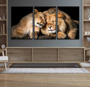 Lion and Lioness Wall Art Canvas Print – Framed African