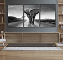 Black and White Elephant Wall Art Canvas Print