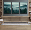 Captivating Misty Foggy Forest Wall Art Premium Canvas Print