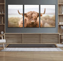 Scottish Serene Highland Cow Canvas Wall Art – Serene