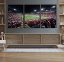 Mississippi State Bulldogs Stadium Wall Art Canvas Print –