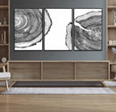 Abstract Large Tree Rings – Minimalist Black and White Wood