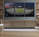 Penn State University Nittany Lions Football Team Print -