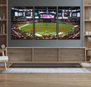 Arizona Diamondbacks Baseball Team Print - Phoenix Chase
