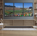 University of Missouri Tigers Football Team Print - Columbia by MyGreatCanvas | Canvas Wall Art Prints | Photo Prints & Wall Decor