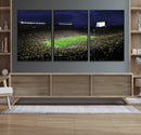 Michigan Wolverines Football Canvas Wall Decor, Football