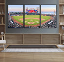 San Francisco Giants Baseball Team Print - Oracle Park