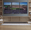 South Carolina Gamecocks Football Team Print - Columbia