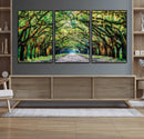 Serene Tree Tunnel Wall Art Canvas Print – Pathway Under by MyGreatCanvas | Canvas Wall Art Prints | Photo Prints & Wall Decor