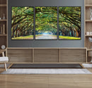 Wormsloe State Plantation Driveway Wall Art Canvas Print by MyGreatCanvas | Canvas Wall Art Prints | Photo Prints & Wall Decor