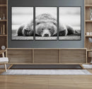Resting Grizzly Bear Wall Art Canvas Print – Majestic Lazy by MyGreatCanvas | Canvas Wall Art Prints | Photo Prints & Wall Decor