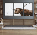 Rustic Bull Wall Art Canvas Print – Modern Longhorn