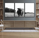 Black and White Highland Cow Wall Art Canvas Print | Rustic
