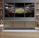 Eagles Field Stadium Wall Art - Philadelphia Eagles Football