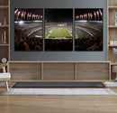 Eagles Field Stadium Wall Art - Philadelphia Eagles Football