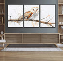 Barn Owl Wall Art on Branch | Stunning Canvas Print for
