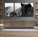 Black Horse in Snow Canvas Print | Winter Horse Wall Art |