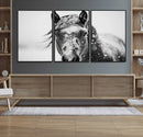 Western Wall Art | Black and White Winter Horse Wall Art | by MyGreatCanvas | Canvas Wall Art Prints | Photo Prints & Wall Decor