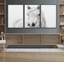 Majestic White Horse Wall Art | Ready to Hang and Framed |