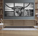 Scottish Highland Cow Wall Art Canvas Print | Ready to Hang