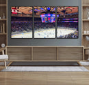 Madison New York Rangers Hockey Stadium Wall Art Canvas