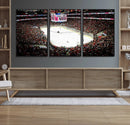 PNC Arena Raleigh North Carolina Hurricanes Hockey Stadium