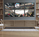 Xcel Energy Center St Paul Minnesota Wild Ice Hockey Stadium