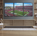 Florida Tampa Raymond James Stadium Wall Art Canvas Print -