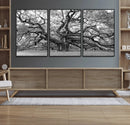 Black White Angel Oak Tree Wall Art - Timeless