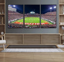 NC State Wolfpack Canvas Print - Raleigh Carter-Finley