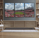 NC State Wolfpack Football Team Print Canvas- Raleigh
