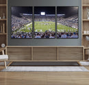 Brigham Young University Cougars Football Print Canvas -