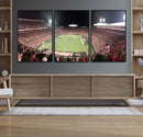 University of Louisville Cardinals Football Team Print -