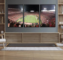 University of Louisville Cardinals Football Team Print - by MyGreatCanvas | Canvas Wall Art Prints | Photo Prints & Wall Decor