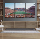 Framed Texas Memorial Stadium Canvas, University of Texas