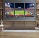 Wolfpack Football Team Print - Raleigh Carter-Finley Stadium