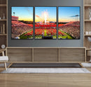North Carolina State University Canvas Print, North Carolina