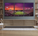 East Carolina University Pirates Football Print Canvas-