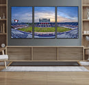Florida Atlantic University Owls Football Team Print - Boca by MyGreatCanvas | Canvas Wall Art Prints | Photo Prints & Wall Decor